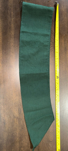 Older version girl scout - older,